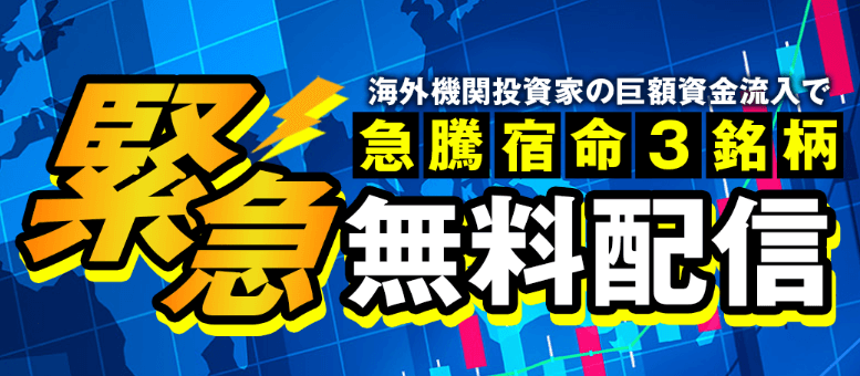 バインテック　投資顧問